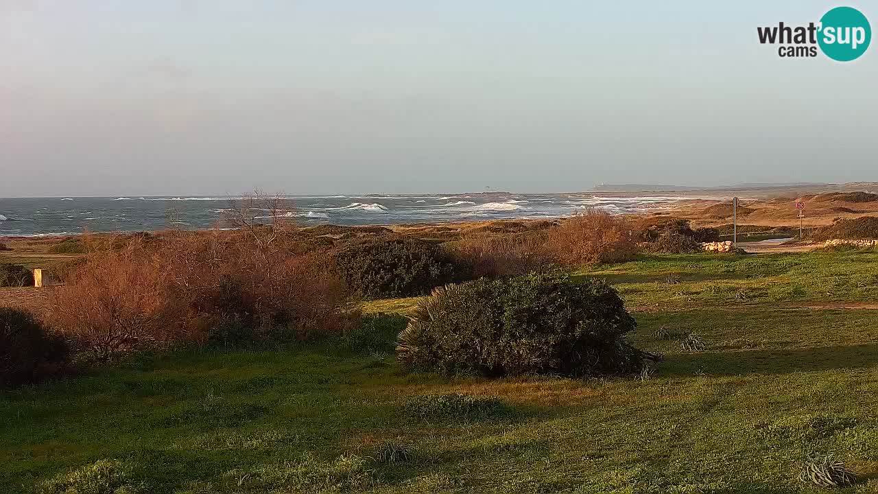 Mari Ermi Strand | Is Arutas – Oristano