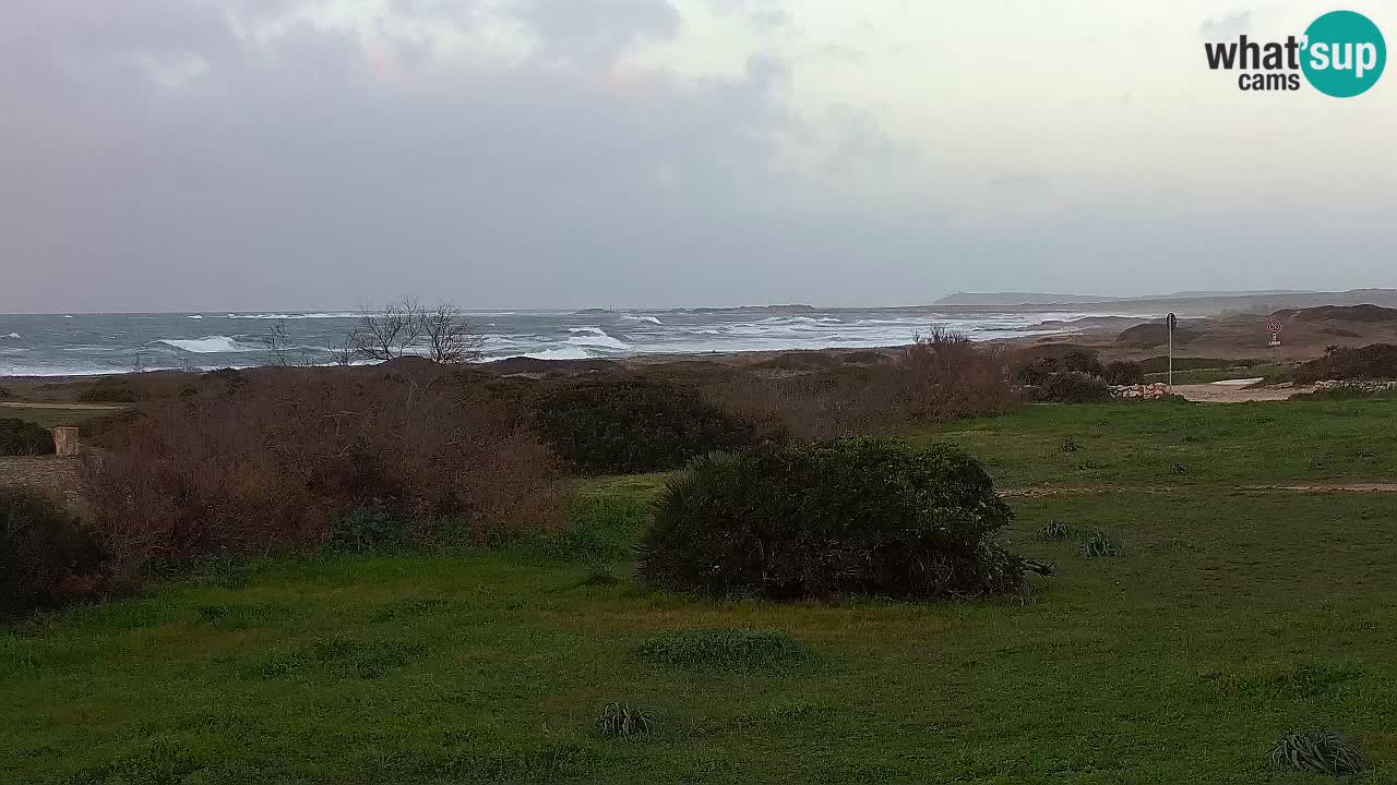 Plaža Mari Ermi | Is Arutas – Oristano