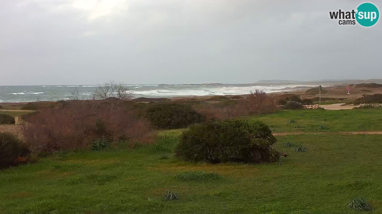 Mari Ermi beach | Is Arutas – Oristano