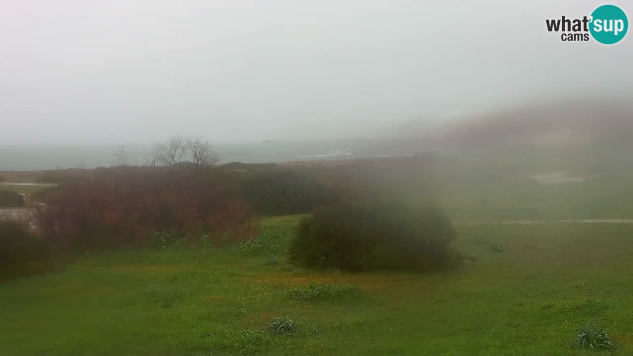 Plaža Mari Ermi | Is Arutas – Oristano