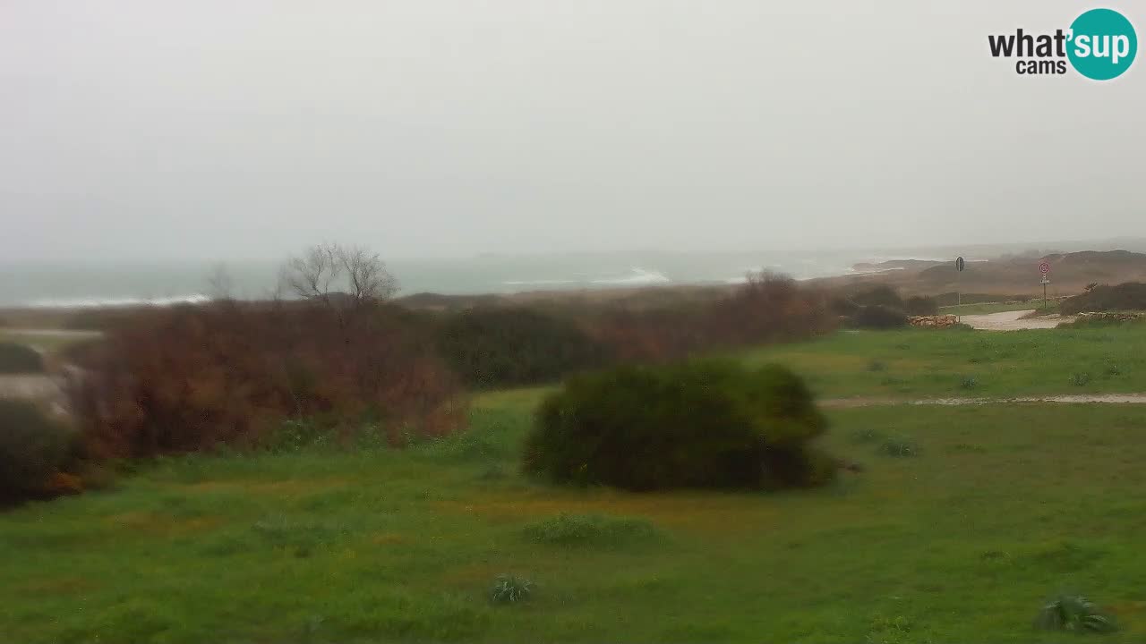 Mari Ermi Strand | Is Arutas – Oristano