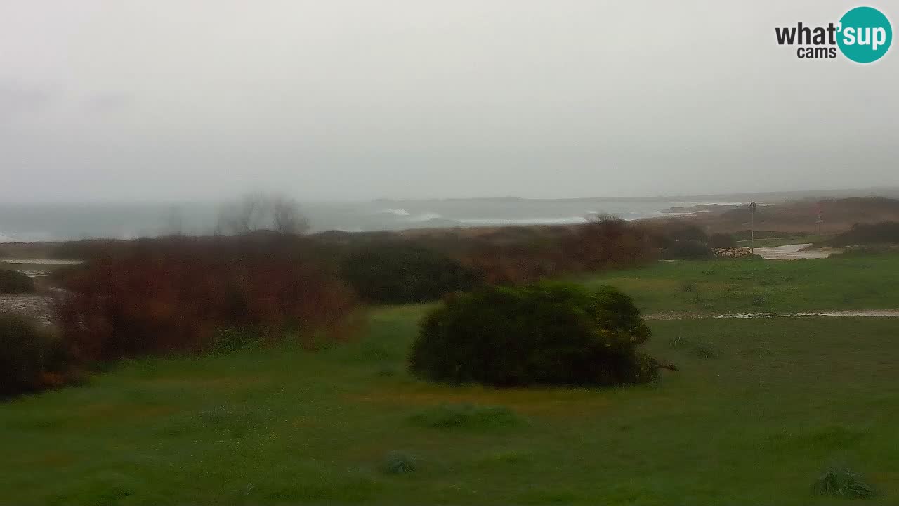 Mari Ermi Strand | Is Arutas – Oristano