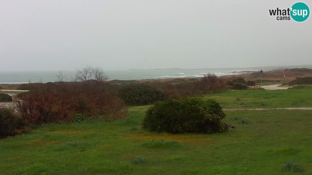 Plage Mari Ermi | Is Arutas – Oristano