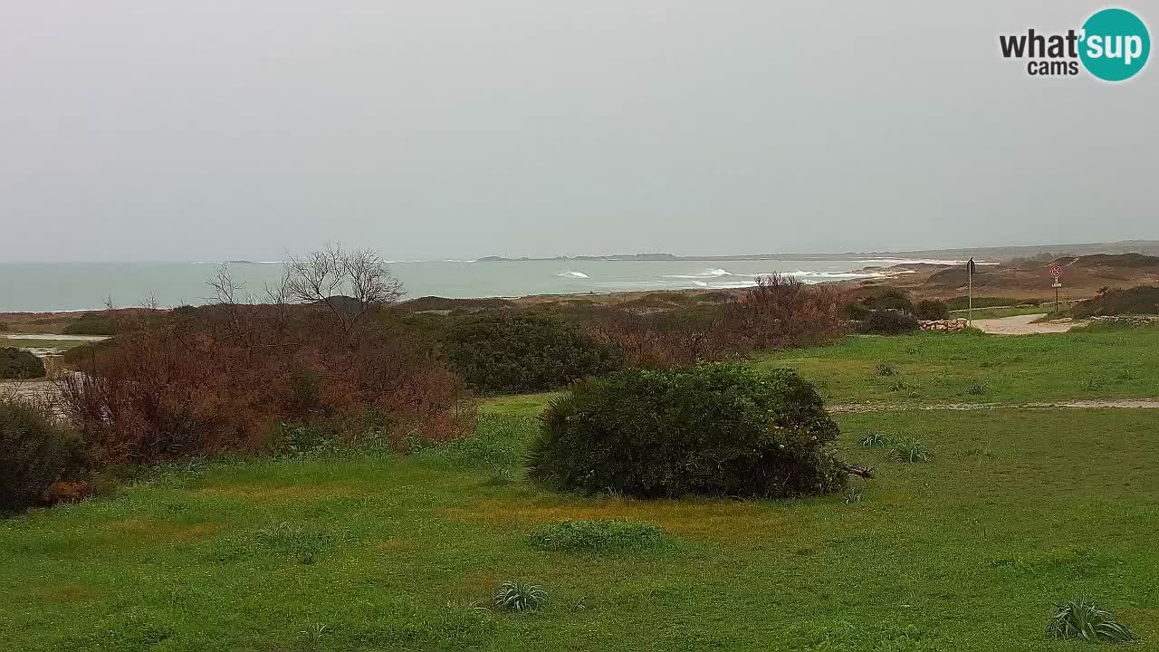 Plaža Mari Ermi | Is Arutas – Oristano