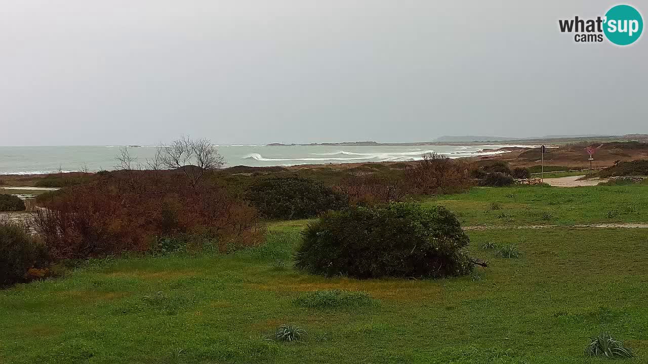 Playa Mari Ermi | Is Arutas – Oristano
