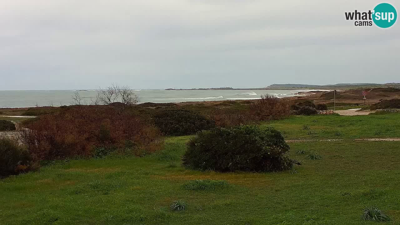 Playa Mari Ermi | Is Arutas – Oristano
