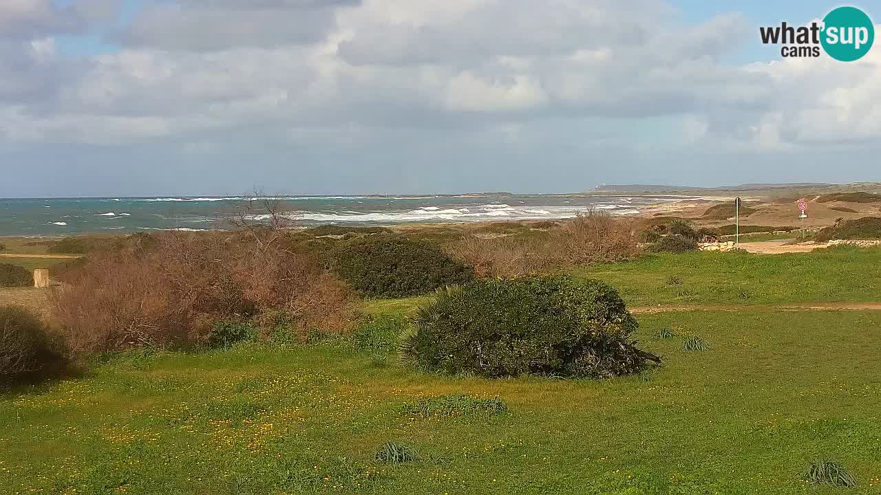 Mari Ermi beach | Is Arutas – Oristano