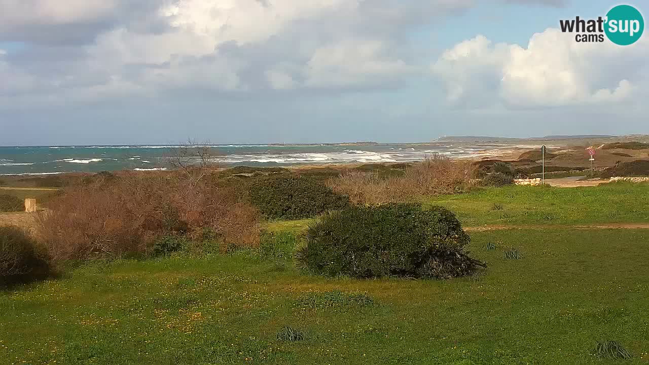 Mari Ermi Strand | Is Arutas – Oristano