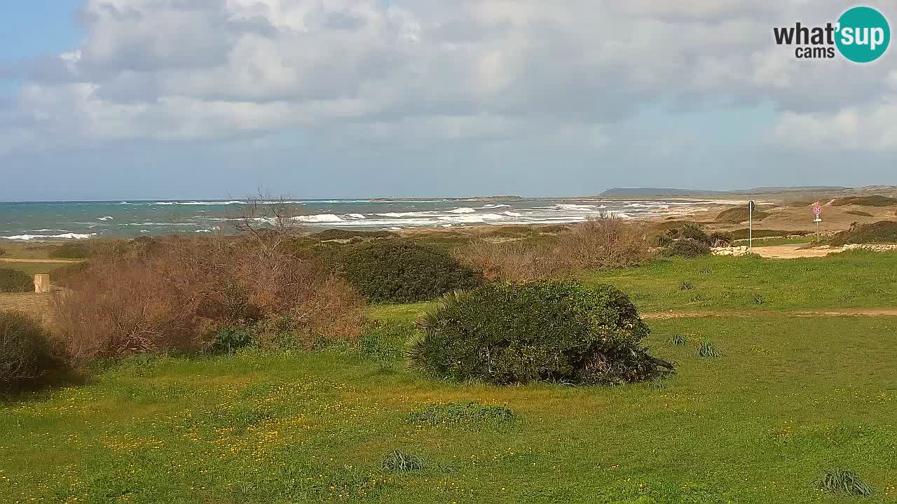 Mari Ermi Strand | Is Arutas – Oristano