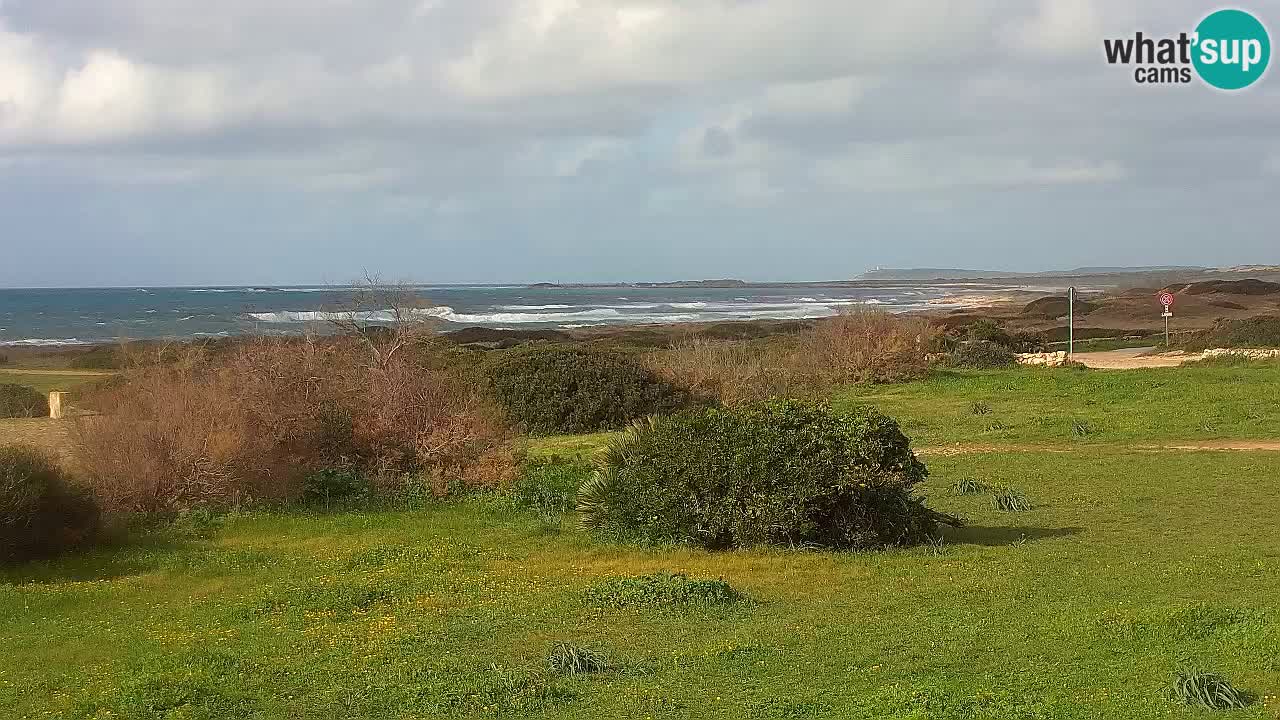 Mari Ermi Strand | Is Arutas – Oristano