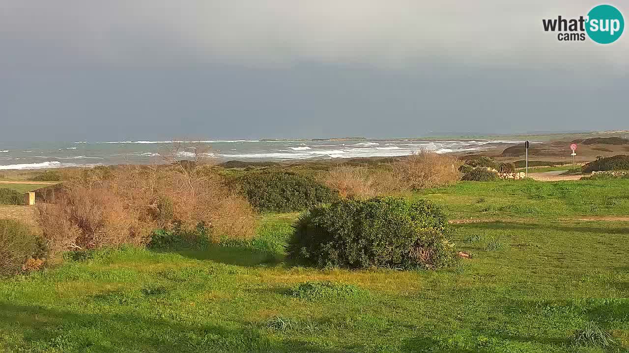 Plaža Mari Ermi | Is Arutas – Oristano