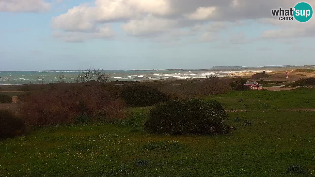 Mari Ermi Strand | Is Arutas – Oristano