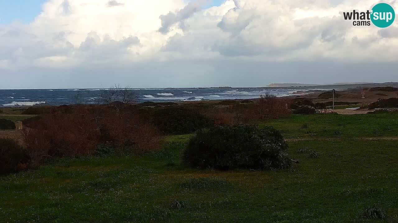 Plage Mari Ermi | Is Arutas – Oristano