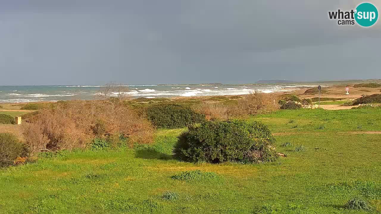 Plaža Mari Ermi | Is Arutas – Oristano