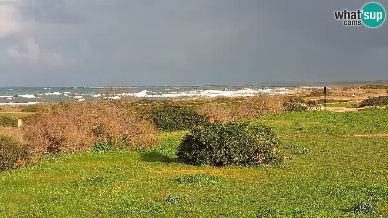 Plaža Mari Ermi | Is Arutas – Oristano