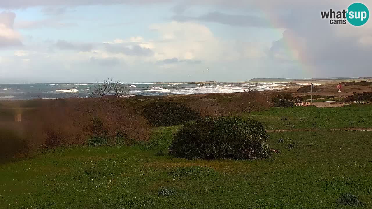 Plage Mari Ermi | Is Arutas – Oristano