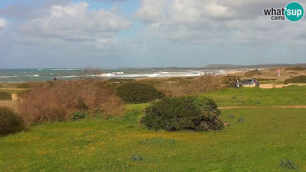 Plaža Mari Ermi | Is Arutas – Oristano