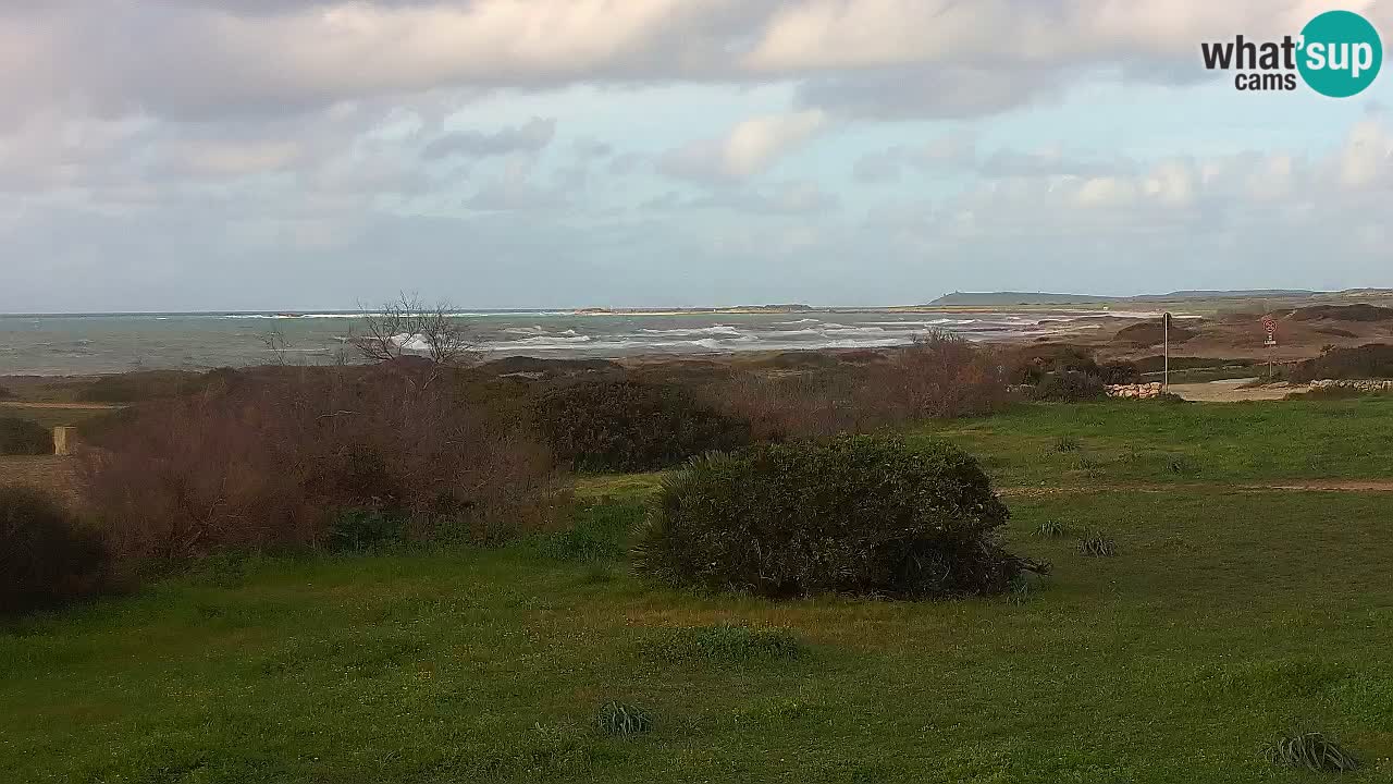 Plage Mari Ermi | Is Arutas – Oristano