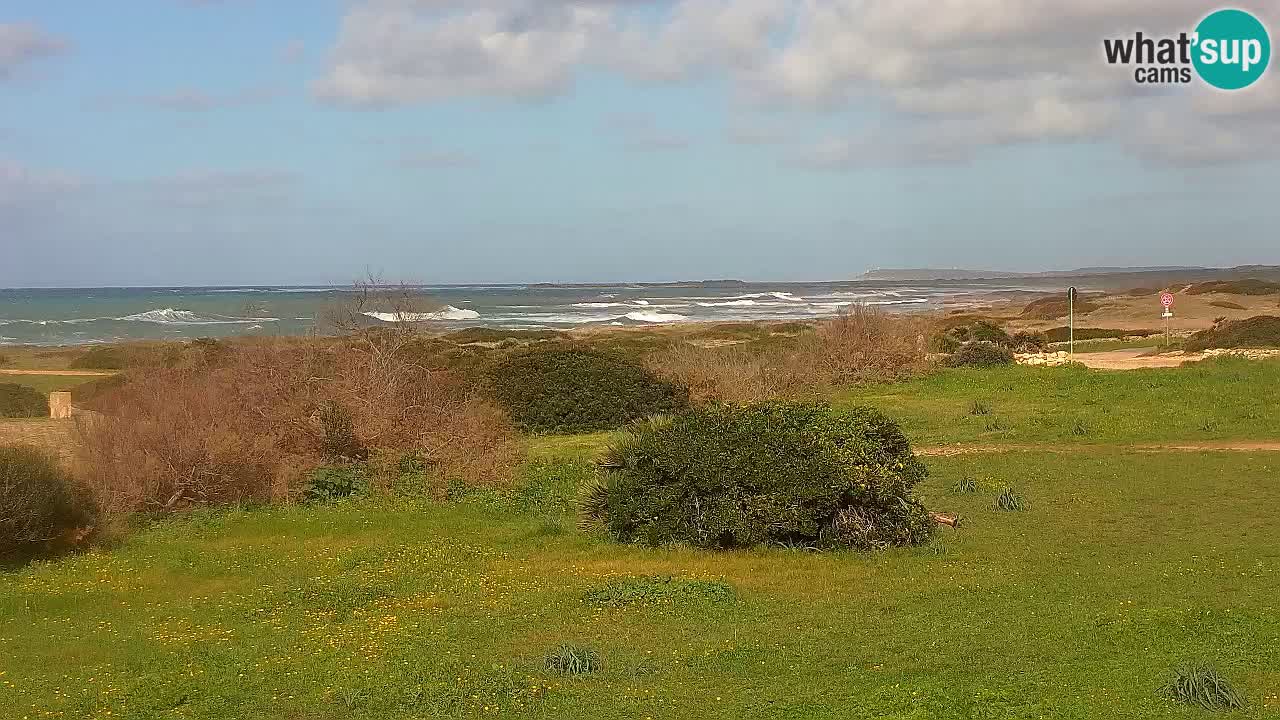 Plage Mari Ermi | Is Arutas – Oristano