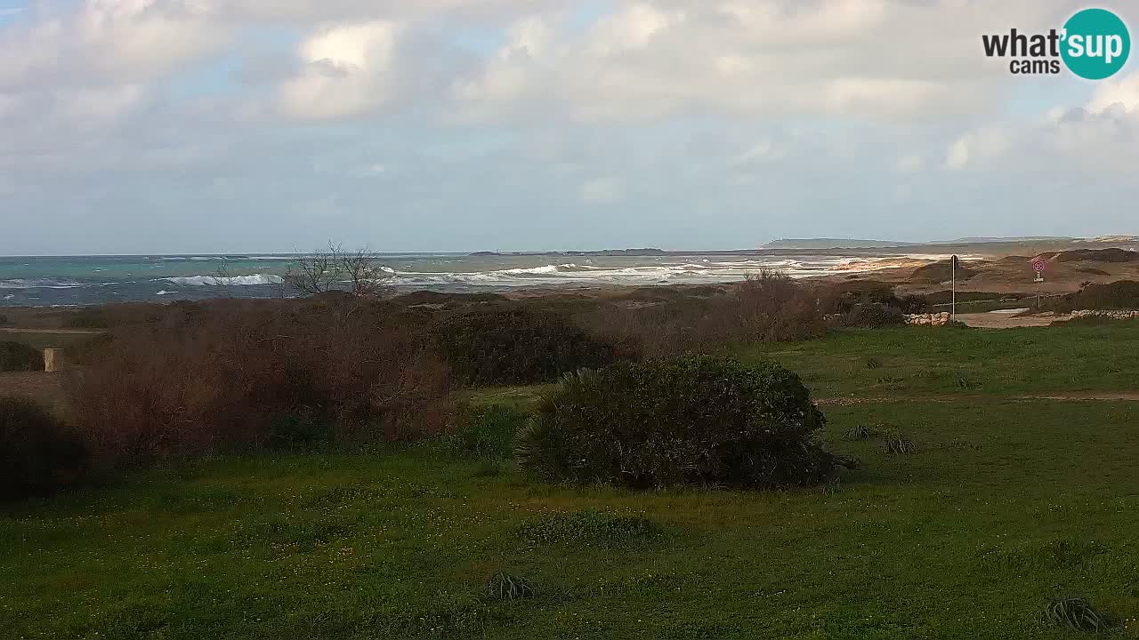 Plage Mari Ermi | Is Arutas – Oristano