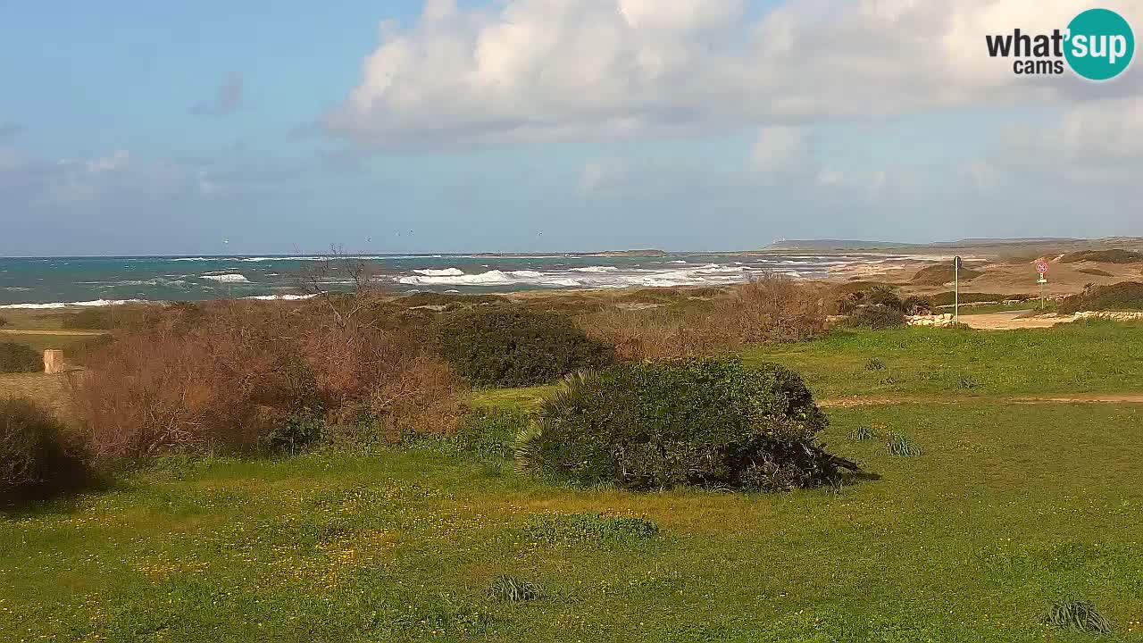 Mari Ermi Strand | Is Arutas – Oristano