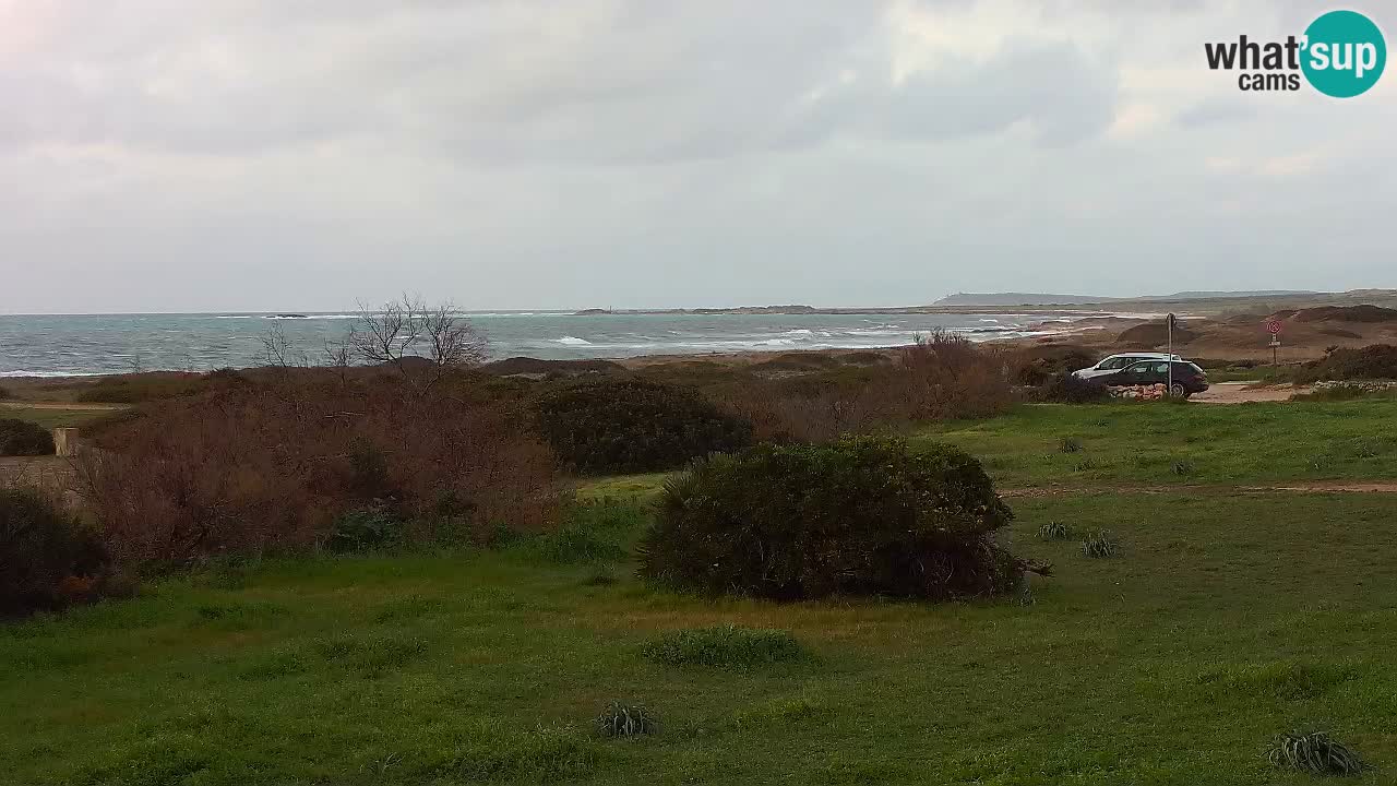 Plaža Mari Ermi | Is Arutas – Oristano