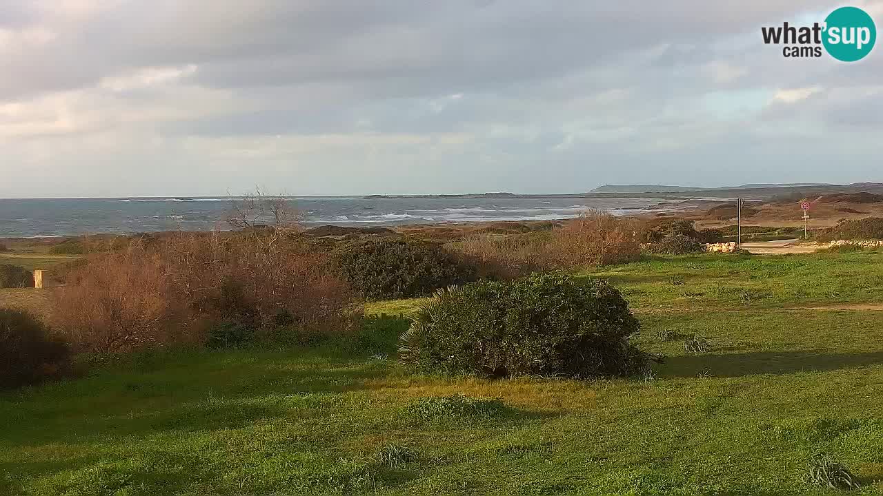 Plage Mari Ermi | Is Arutas – Oristano