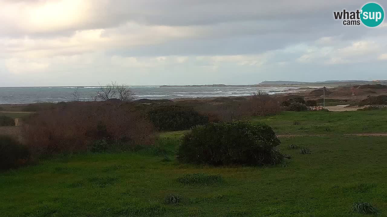 Plage Mari Ermi | Is Arutas – Oristano