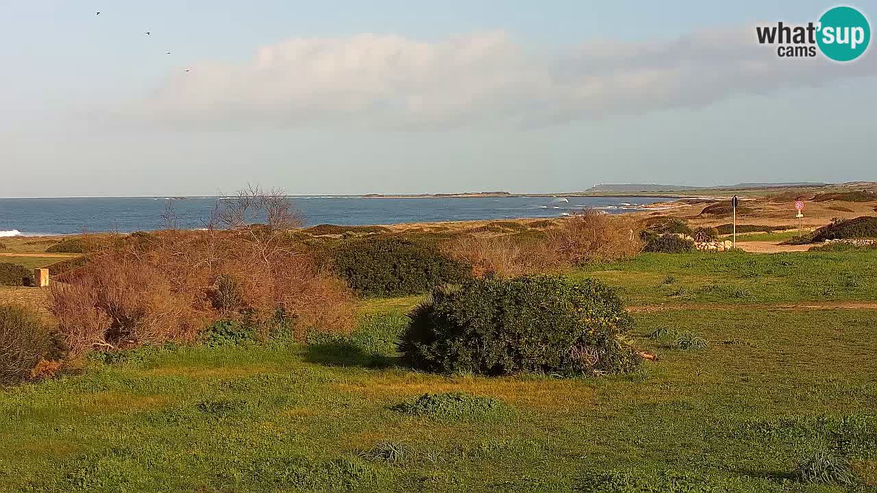 Mari Ermi Strand | Is Arutas – Oristano