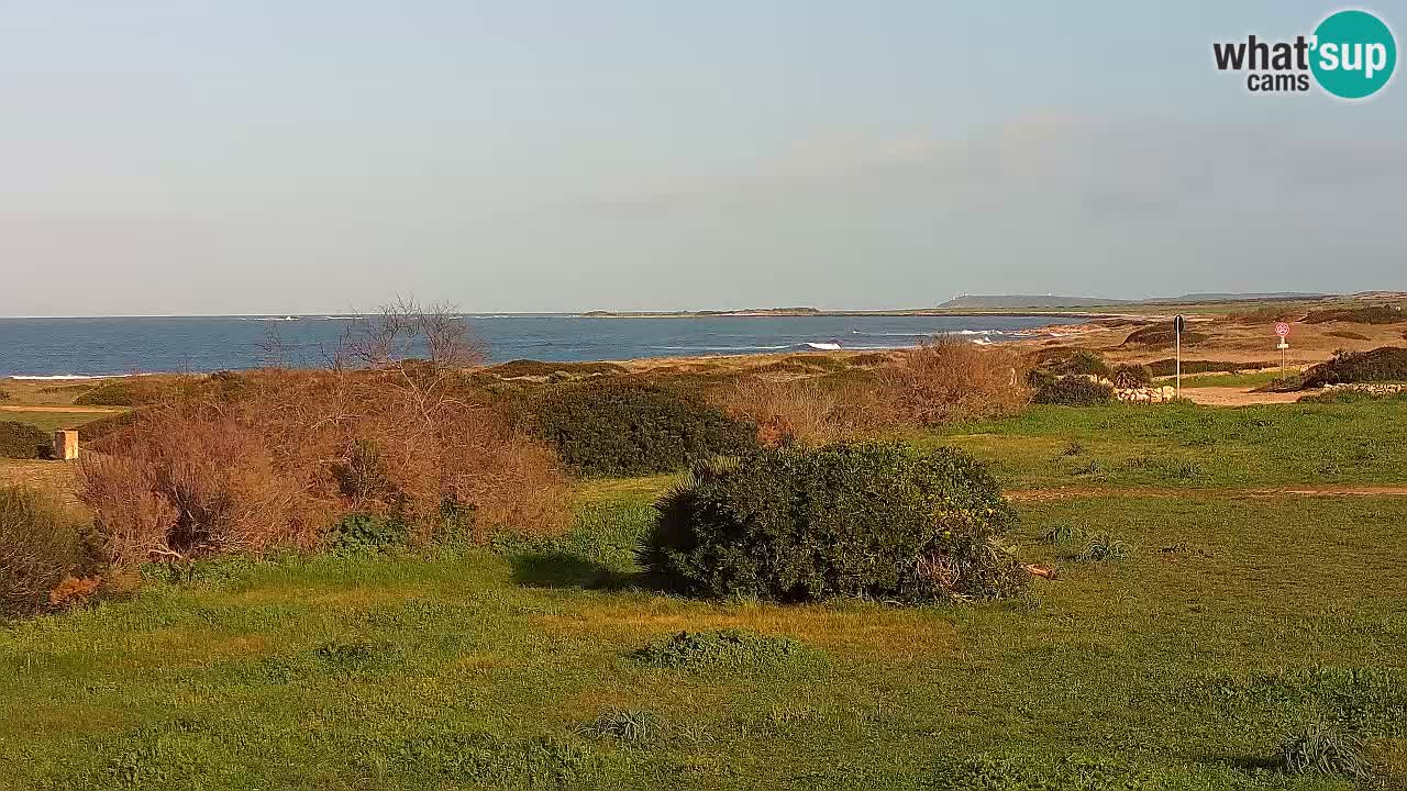 Plage Mari Ermi | Is Arutas – Oristano