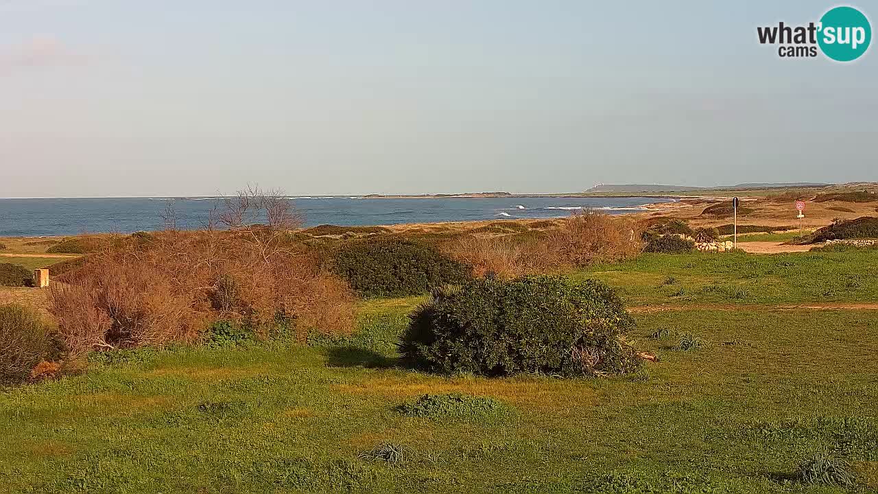 Playa Mari Ermi | Is Arutas – Oristano