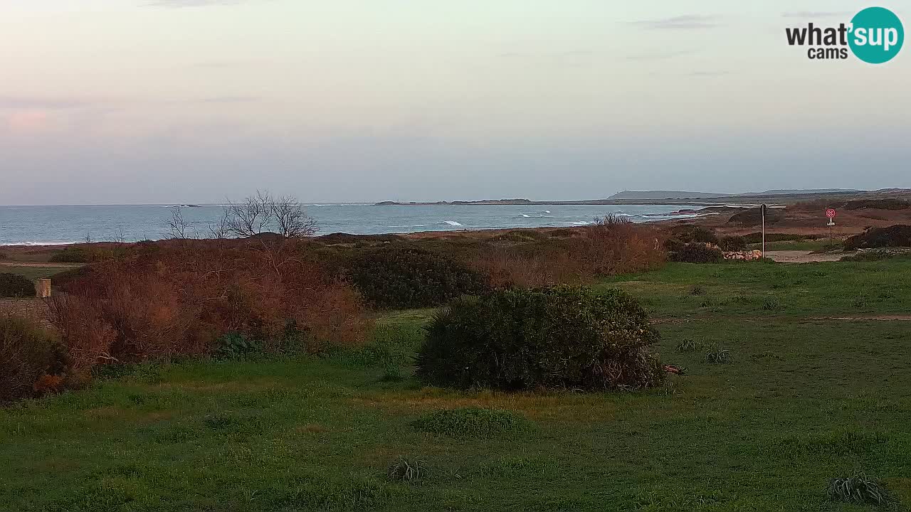 Playa Mari Ermi | Is Arutas – Oristano