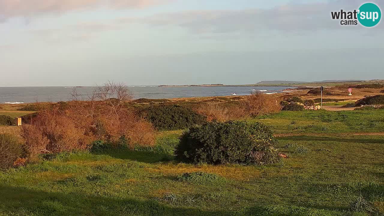 Plage Mari Ermi | Is Arutas – Oristano