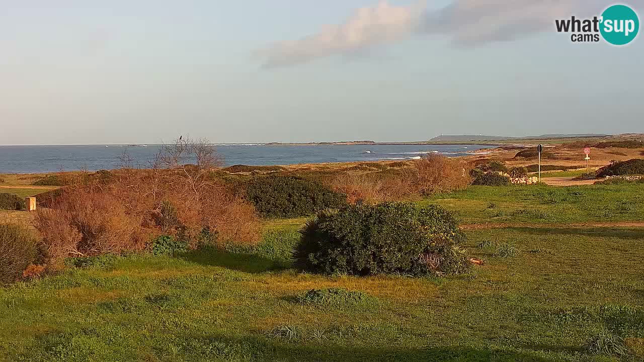 Mari Ermi beach | Is Arutas – Oristano