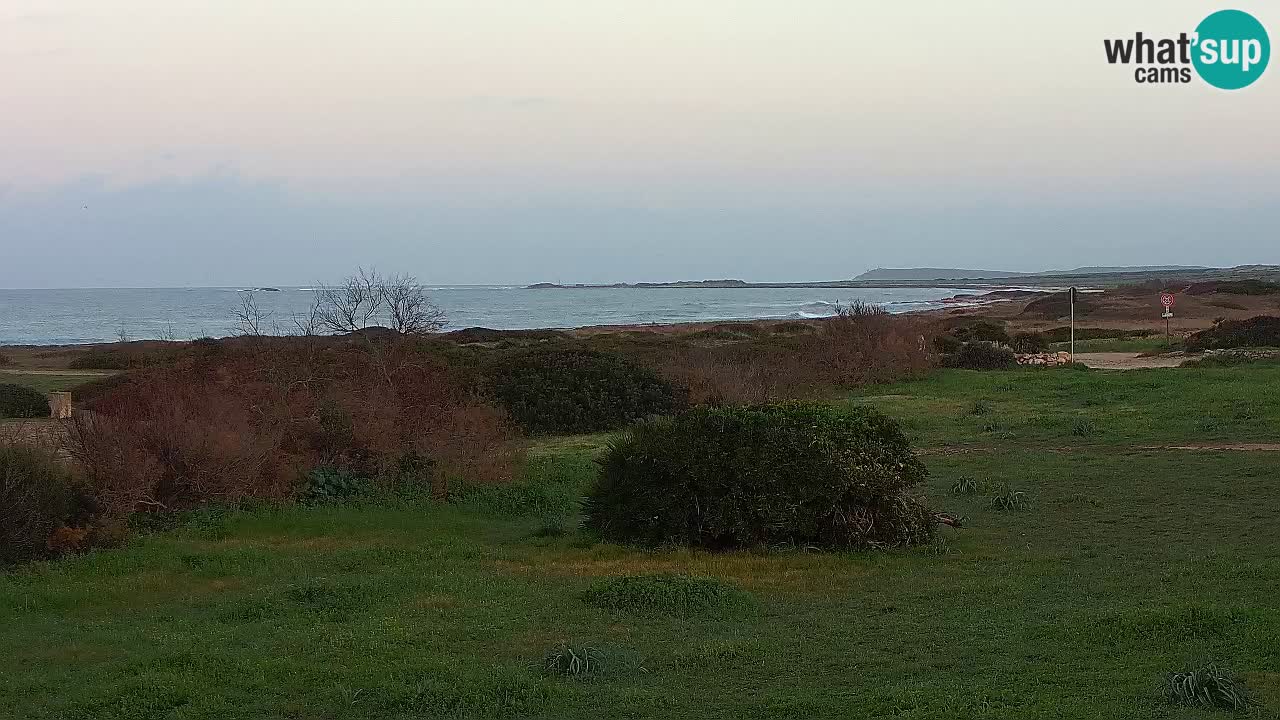 Mari Ermi Strand | Is Arutas – Oristano