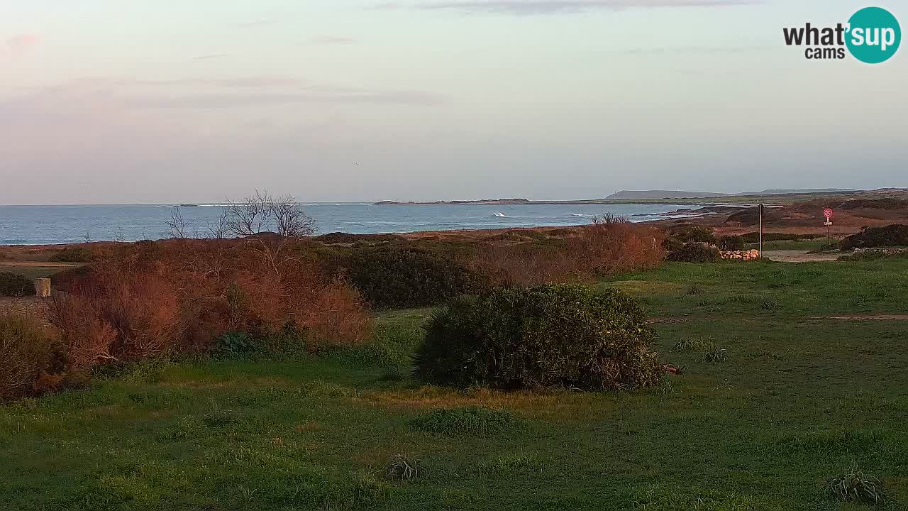 Plaža Mari Ermi | Is Arutas – Oristano