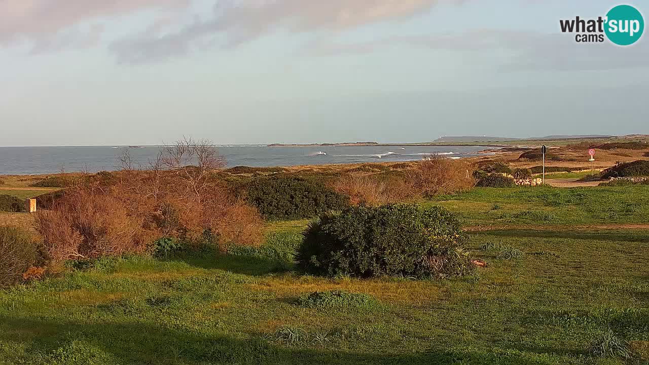 Playa Mari Ermi | Is Arutas – Oristano