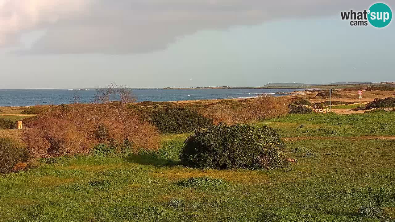 Plage Mari Ermi | Is Arutas – Oristano
