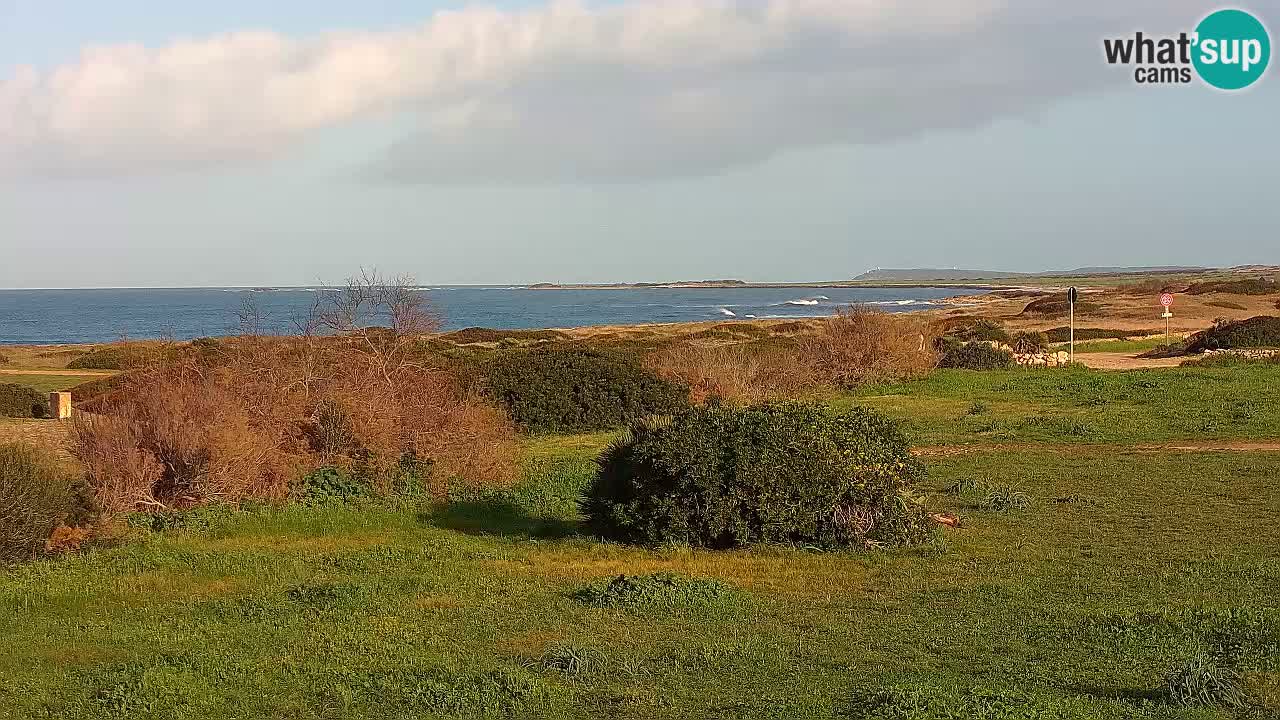 Mari Ermi beach | Is Arutas – Oristano