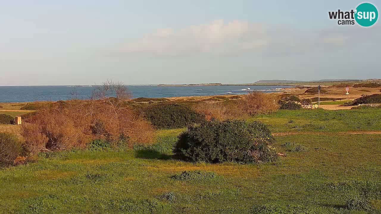 Plaža Mari Ermi | Is Arutas – Oristano