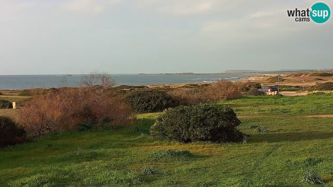 Mari Ermi Strand | Is Arutas – Oristano