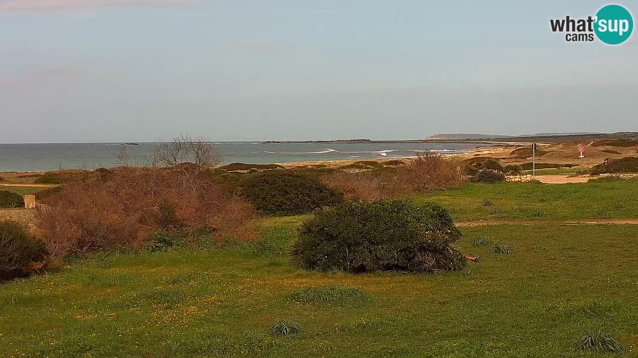 Mari Ermi Strand | Is Arutas – Oristano