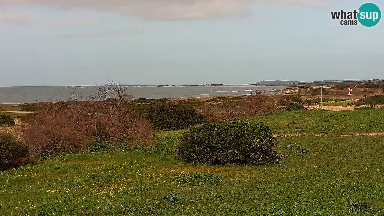 Mari Ermi Strand | Is Arutas – Oristano