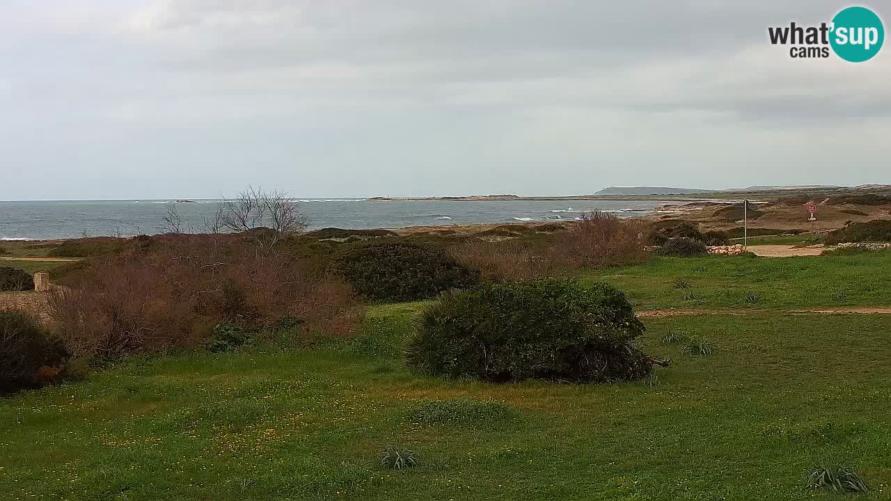 Plage Mari Ermi | Is Arutas – Oristano