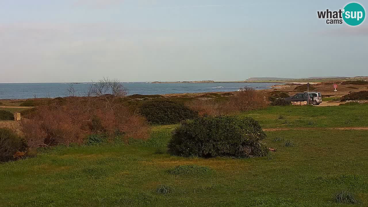 Playa Mari Ermi | Is Arutas – Oristano