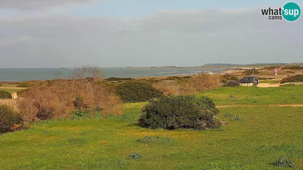Playa Mari Ermi | Is Arutas – Oristano