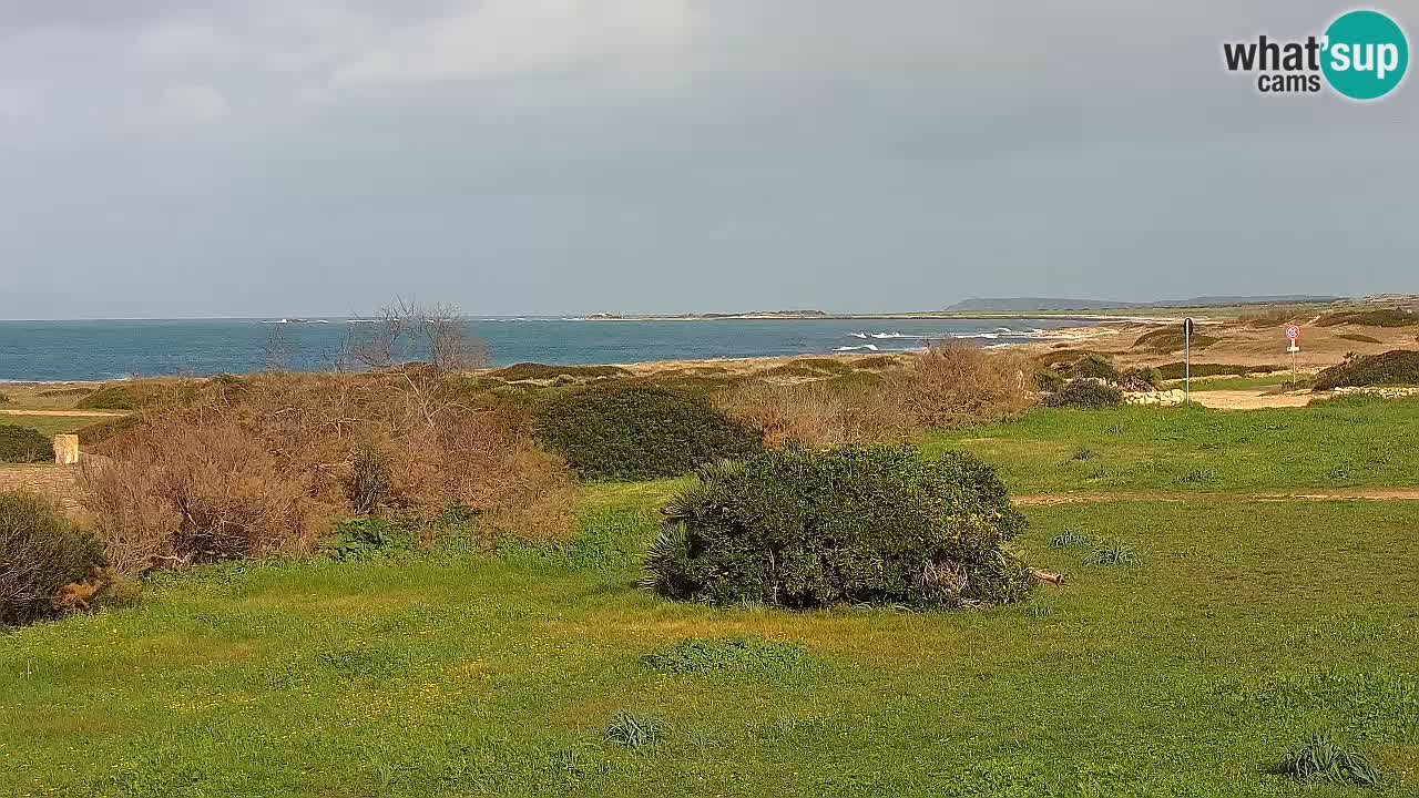Playa Mari Ermi | Is Arutas – Oristano