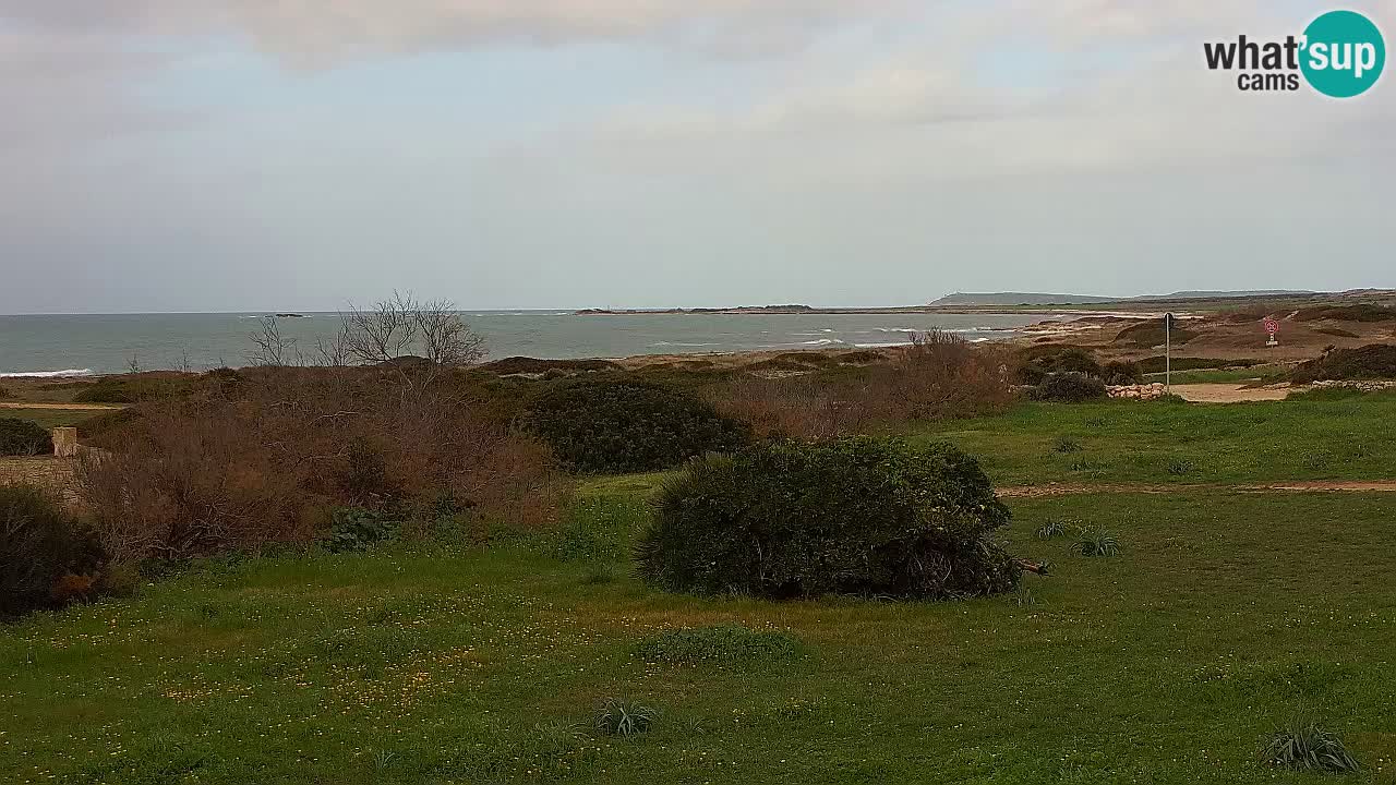 Mari Ermi beach | Is Arutas – Oristano