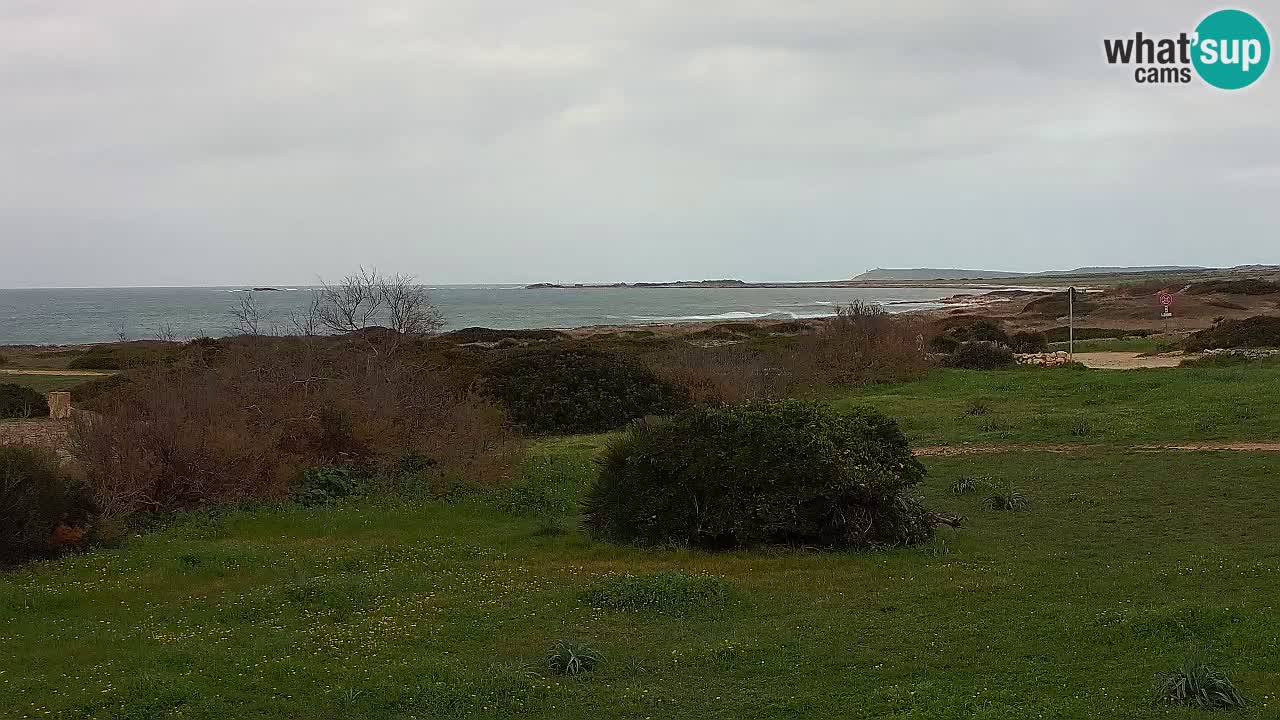 Spiaggia Mari Ermi | Is Arutas – Oristano