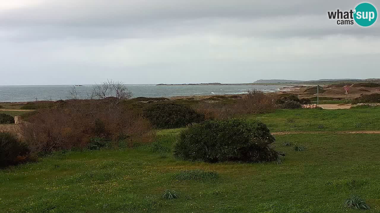 Mari Ermi beach | Is Arutas – Oristano